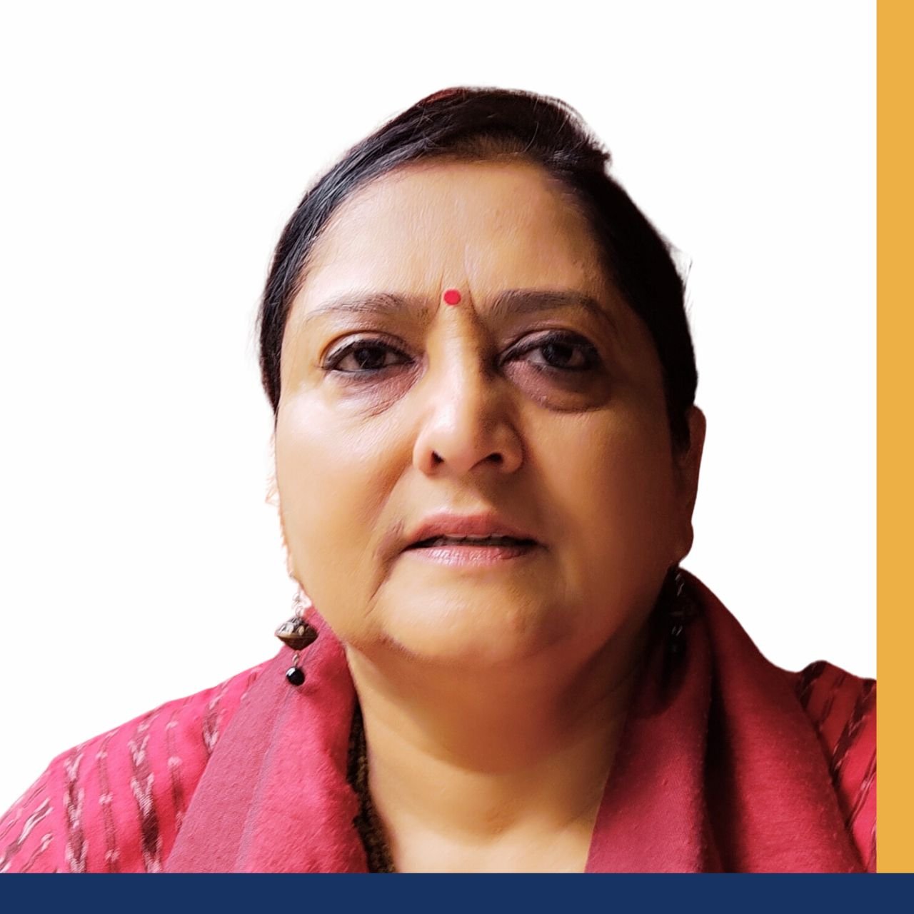 Prof Vibhuti Patel, IMPRI People page style 2023