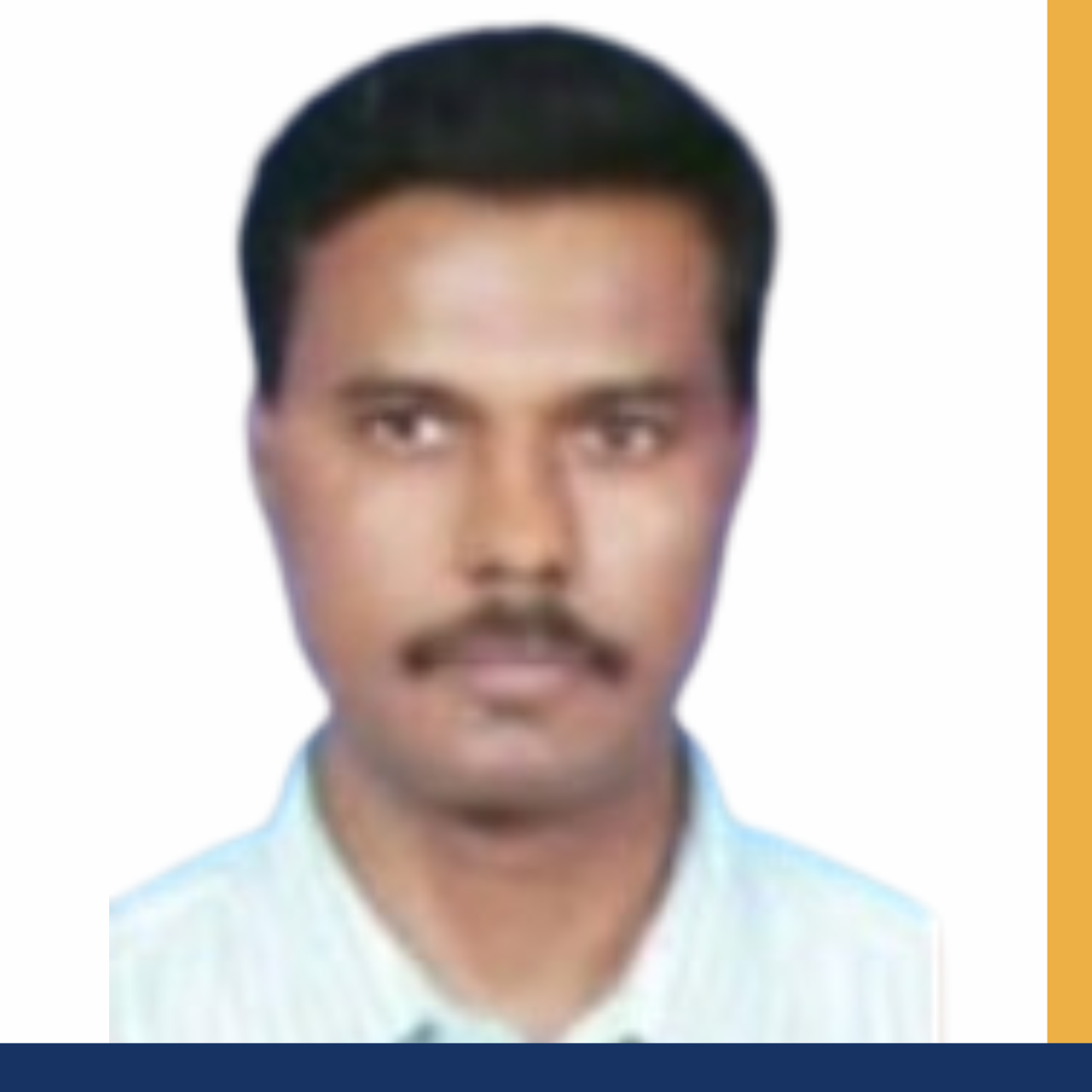 Prof R Mangaleswaran