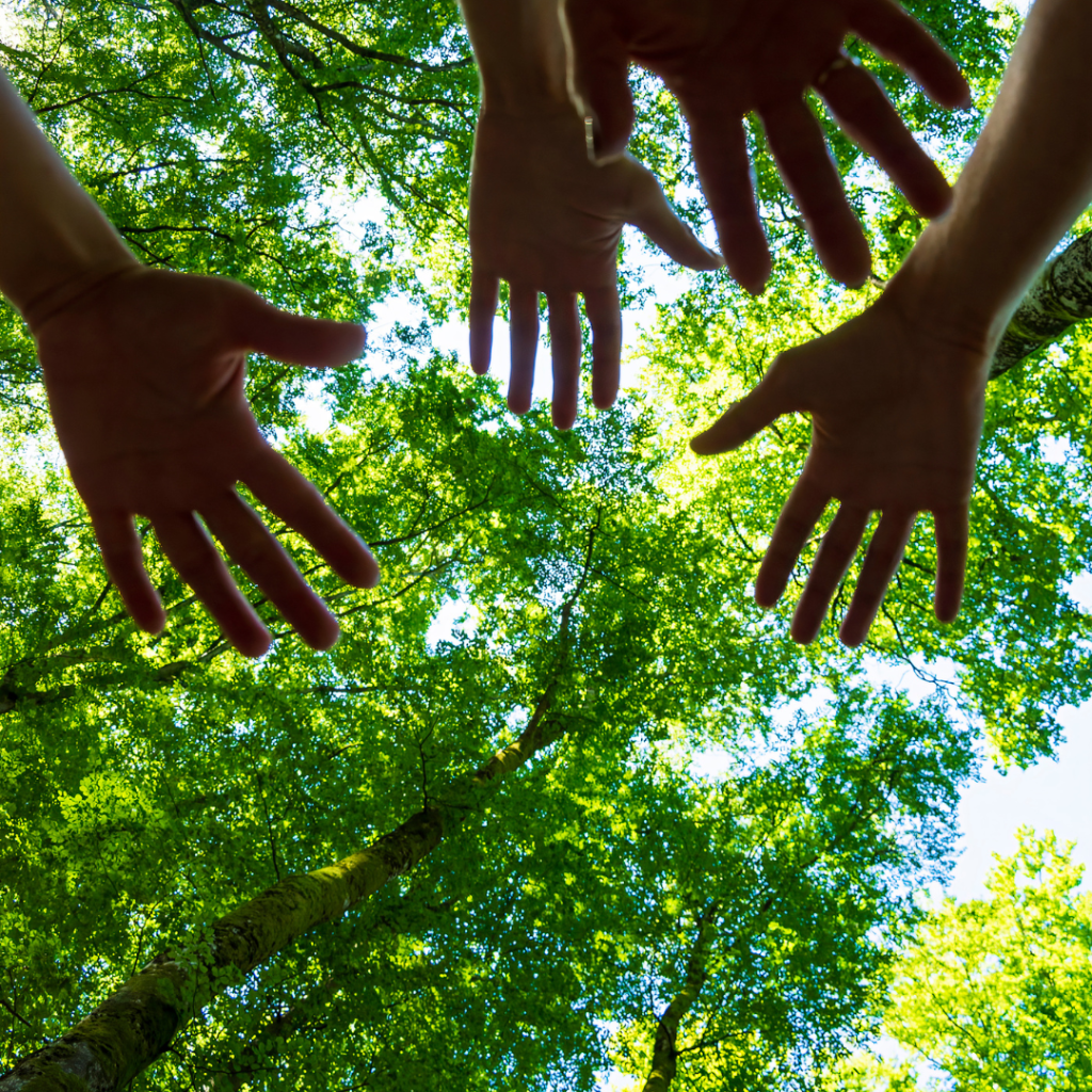 EPAYF Environment Policy and Action Youth Fellowship